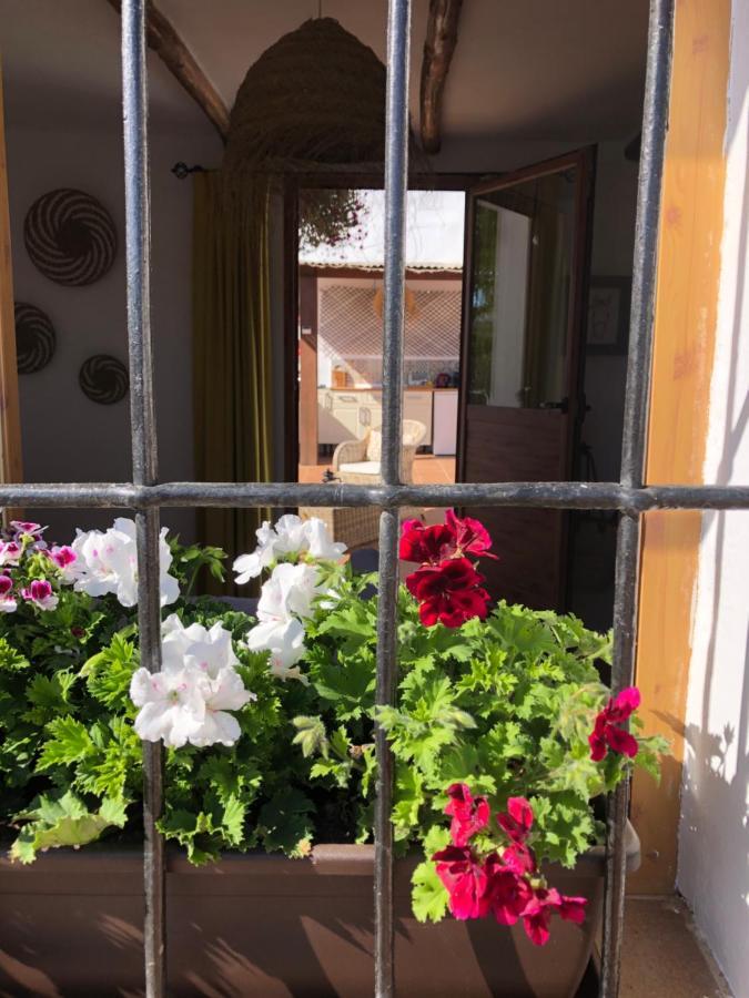 לינה וארוחת בוקר Villanueva de Tapia Casa La Alegria 37 מראה חיצוני תמונה