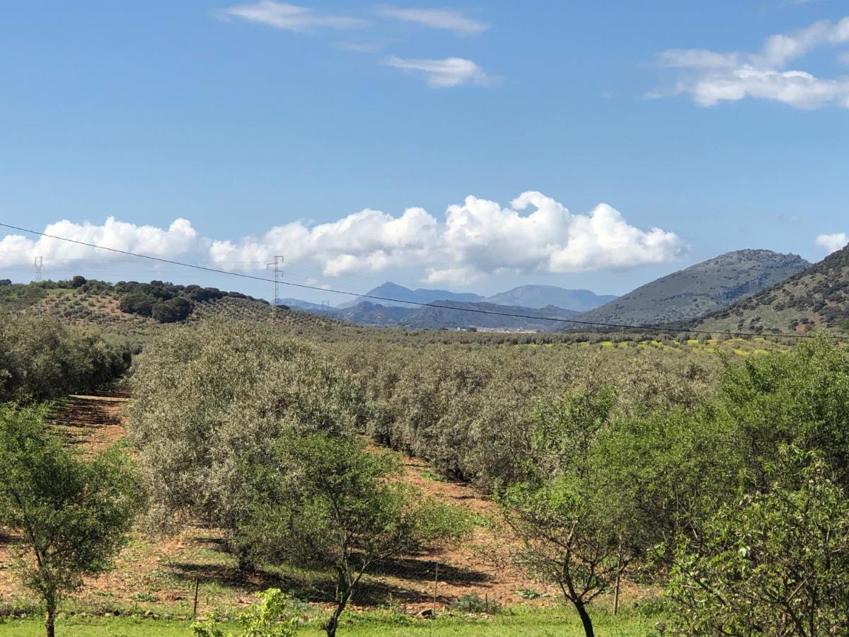 לינה וארוחת בוקר Villanueva de Tapia Casa La Alegria 37 מראה חיצוני תמונה
