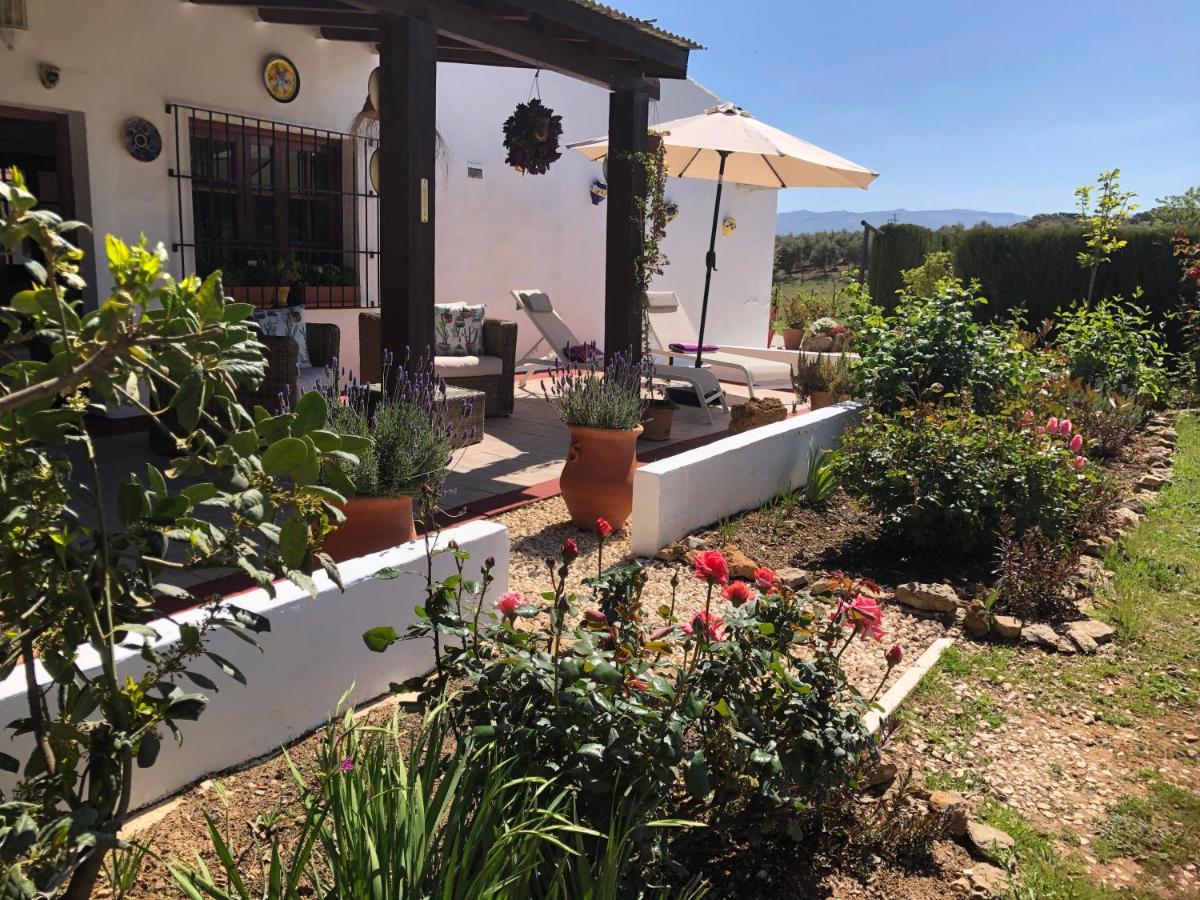 לינה וארוחת בוקר Villanueva de Tapia Casa La Alegria 37 מראה חיצוני תמונה